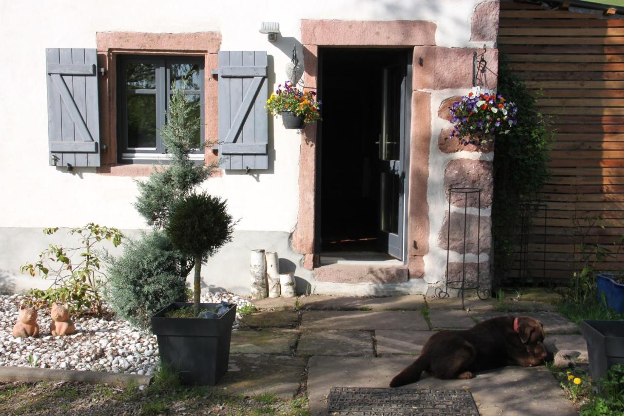 La Colline Du Baa - Maison D'Hotes D'Exception Lapoutroie Kültér fotó